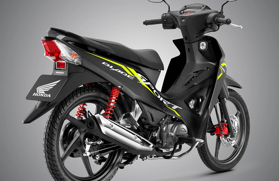 Bảng màu trẻ trung ấn tượng