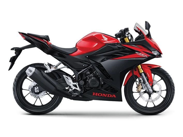 Hình ảnh thể thao với tem xe và phối màu mới nổi bật